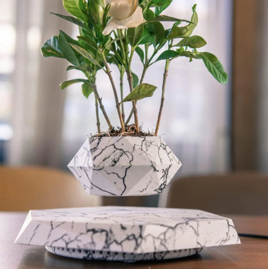 LeviFlora Floating Plant Pot - Kim’s Signature Beauty & Accessories    (Store description)