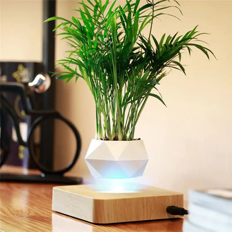 Magic Floating Flower Pot - Kim’s Signature Beauty & Accessories    (Store description)